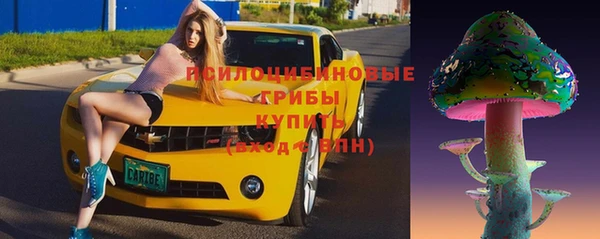 твердый Алексеевка