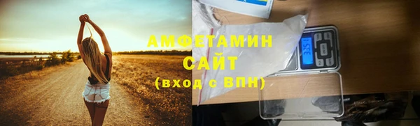 твердый Алексеевка