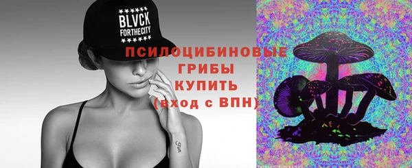 твердый Алексеевка